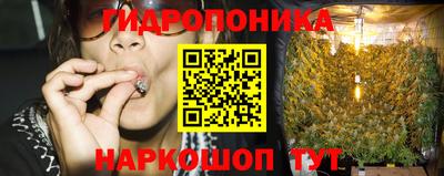 герыч Дубна