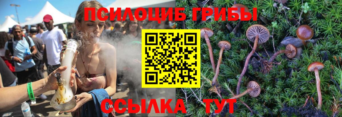 Галлюциногенные грибы Psilocybine cubensis  Псилоцибиновые грибы мицелий  Вход с VPN  Дятьково 