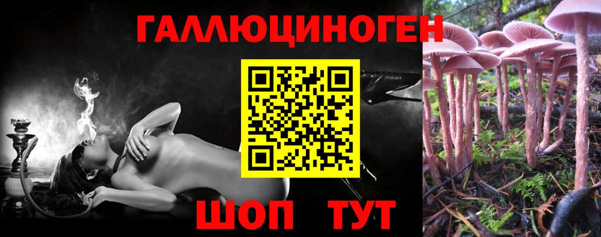 Псилоцибиновые грибы Cubensis Дятьково